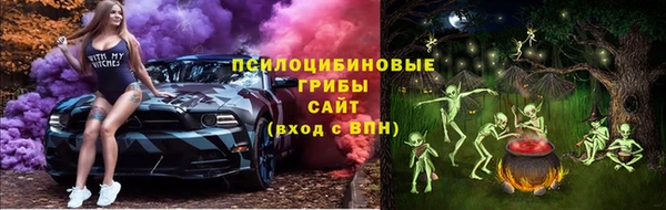 ешки Вязьма